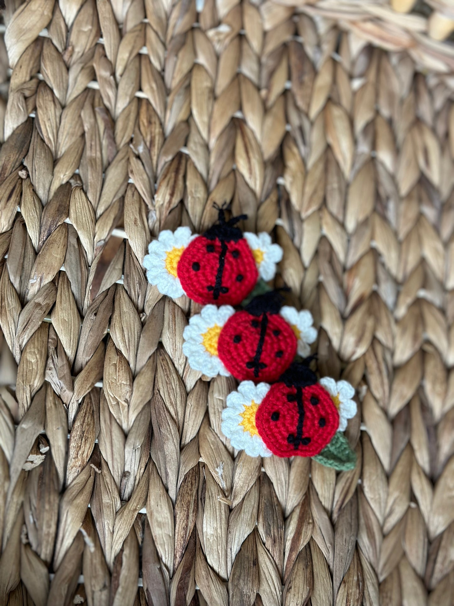 Crochet Hair Clip | Ladybug