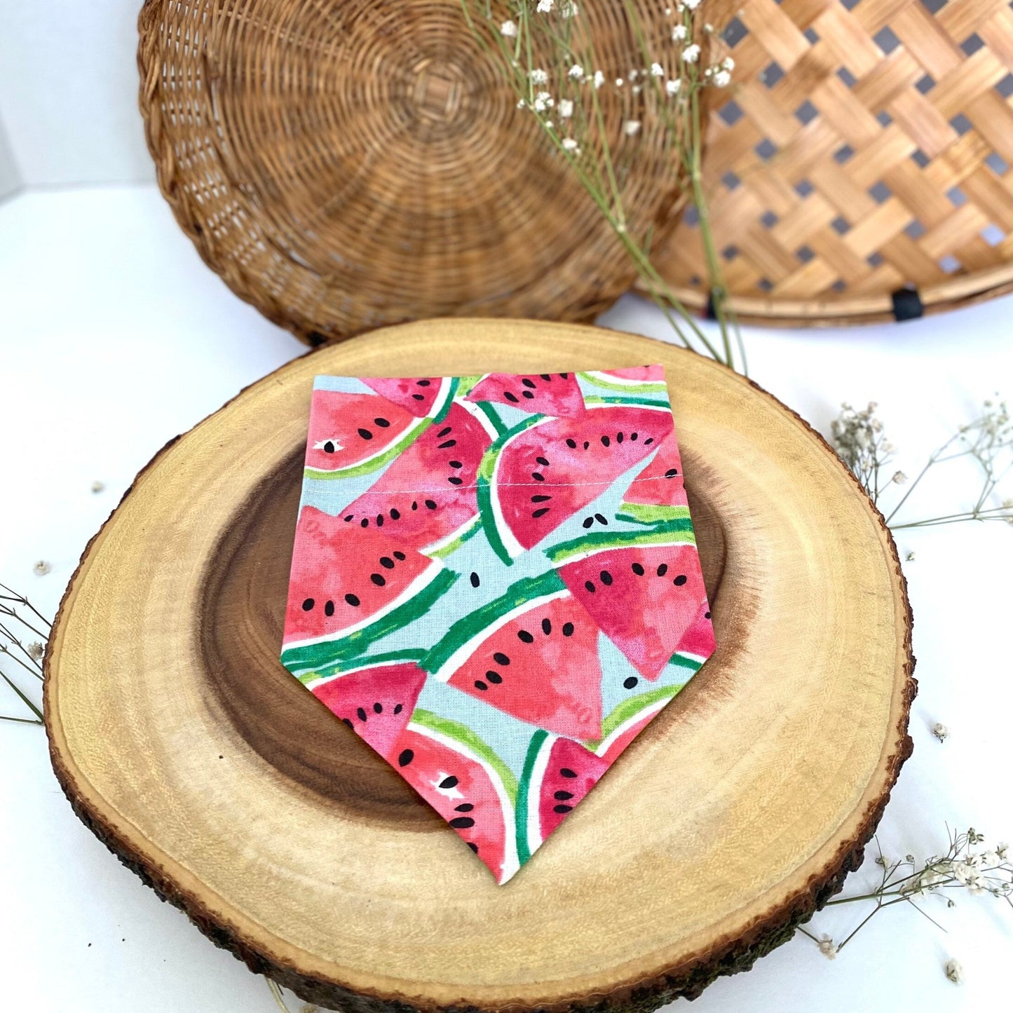 Watermelon Bandana - Slip on the collar