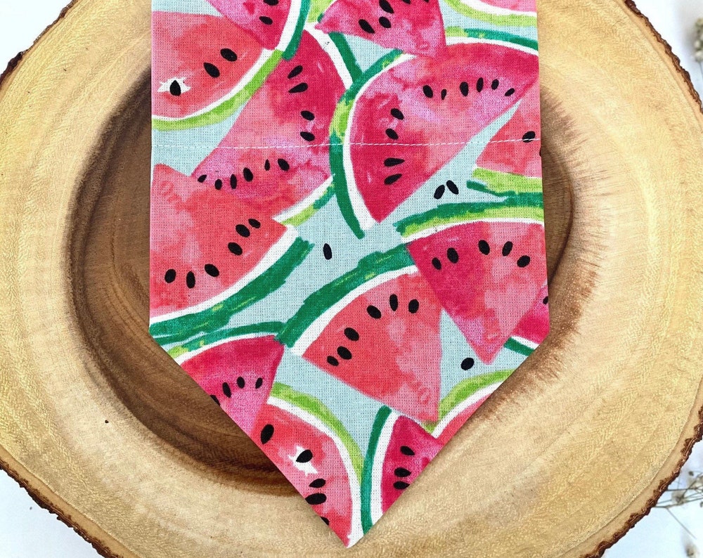 Watermelon Bandana - Slip on the collar